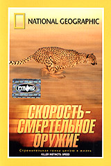 National Geographic Video Скорость - смертельное оружие Формат: DVD (PAL) (Super jewel case) Дистрибьютор: Парадиз Видео Региональный код: 5 Звуковые дорожки: Русский Dolby Digital 2 0 Английский Dolby инфо 13726k.