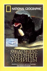 National Geographic Медоеды: змеиные убийцы Формат: VHS (PAL) (Пластиковый бокс) Дистрибьютор: Пирамида HiFi Stereo ; Русский Закадровый перевод Лицензионные товары Характеристики видеоносителей 2001 г , 54 инфо 13871k.