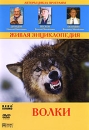 Живая энциклопедия: Волки Формат: DVD (PAL) (Упрощенное издание) (Keep case) Дистрибьютор: Синема Трейд Региональный код: 0 (All) Количество слоев: DVD-5 (1 слой) Звуковые дорожки: Русский Dolby Digital инфо 361l.