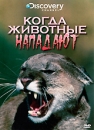 Discovery: Когда животные нападают Формат: DVD (PAL) (Упрощенное издание) (Keep case) Дистрибьютор: DVD Магия Региональный код: 5 Количество слоев: DVD-5 (1 слой) Звуковые дорожки: Русский Закадровый перевод инфо 3532b.