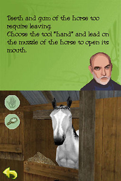 My Horse and Me (DS) Игра для Nintendo DS Картридж, 2007 г Издатель: Atari; Разработчик: MicticSoft; Дистрибьютор: Новый Диск пластиковая коробка Что делать, если программа не запускается? инфо 3521l.