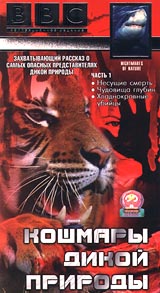 BBC: Кошмары дикой природы Часть 1 Формат: VHS Дистрибьютор: СОЮЗ Видео Русский Лицензионные товары Характеристики видеоносителей 1995 г , 90 мин BBC Документальный фильм инфо 3579l.