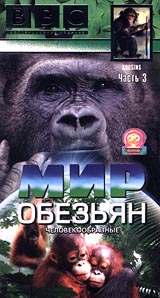 BBC: Мир обезьян Человекообразные Часть 3 Формат: VHS Дистрибьютор: СОЮЗ Видео Русский Лицензионные товары Характеристики видеоносителей 2000 г , 50 мин , Великобритания BBC Worldwide Научно - популярный фильм инфо 3582l.