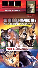 BBC: Хищники: Охотники поневоле Часть 4 Полет к смерти / Королева-убийца Серия: Живая природа инфо 3589l.
