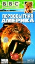 BBC: Первобытная Америка Часть 2 Американский Серенгети Формат: VHS (PAL) Дистрибьютор: СОЮЗ Видео Русский Синхронный перевод Лицензионные товары Характеристики видеоносителей 2002 г , 50 мин инфо 3602l.