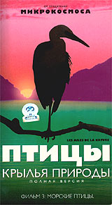 Птицы Крылья природы Фильм 3: Морские птицы Формат: VHS (PAL) Дистрибьютор: СОЮЗ Видео Русский Закадровый перевод Лицензионные товары Характеристики видеоносителей 2002 г , 50 мин , Франция - Италия - инфо 3632l.