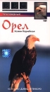 BBC: Плотоядные Орел Формат: VHS (PAL) Дистрибьютор: СОЮЗ Видео HiFi Stereo ; Русский Синхронный перевод Лицензионные товары Характеристики видеоносителей 1999 г , 50 мин , Великобритания BBC Worldwide Научно - популярный фильм инфо 3637l.
