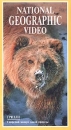 National Geographic Video Гризли Формат: VHS Дистрибьютор: Пирамида Русский Лицензионные товары Характеристики видеоносителей 1987 г , 52 мин , США National Geographic Society Научно - популярный фильм инфо 3732l.