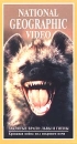 National Geographic Video Заклятые враги: львы и гиены Формат: VHS Дистрибьютор: Пирамида Русский Лицензионные товары Характеристики видеоносителей 1992 г , 55 мин , США National Geographic Society Научно - популярный фильм инфо 3733l.