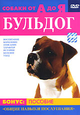 Собаки от А до Я: Бульдог Формат: DVD (PAL) (Упрощенное издание) (Keep case) Дистрибьютор: Сейприс Региональный код: 5 Количество слоев: DVD-5 (1 слой) Звуковые дорожки: Русский Синхронный перевод Dolby инфо 8468l.