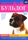 Собаки от А до Я: Бульдог Формат: DVD (PAL) (Упрощенное издание) (Keep case) Дистрибьютор: Сейприс Региональный код: 5 Количество слоев: DVD-5 (1 слой) Звуковые дорожки: Русский Синхронный перевод Dolby инфо 8468l.