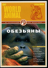 Мир животных: Обезьяны Формат: VHS Дистрибьютор: Интеракт Русский Лицензионные товары Характеристики видеоносителей 2005 г , 50 мин , США New Films International Научно - популярный фильм инфо 9762l.