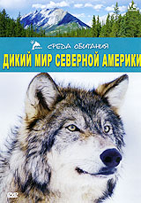 Дикий мир Северной Америки Серия: Среда обитания инфо 13991l.