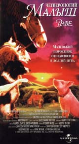 Бэйб: Четвероногий малыш Формат: DVD (PAL) (Keep case) Дистрибьютор: Universal Pictures Rus Региональный код: 5 Количество слоев: DVD-5 (1 слой) Звуковые дорожки: Русский Закадровый перевод Dolby Digital инфо 12069b.