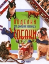 Поделки для домашних любимцев Собаки Издательство: Ниола-Пресс, 2009 г Мягкая обложка, 128 стр ISBN 978-5-366-00385-8 Тираж: 4000 экз Формат: 84x108/16 (~205х290 мм) Цветные иллюстрации инфо 11928c.
