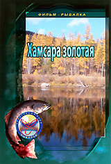 Хамсара золотая Формат: DVD (PAL) (Super jewel case) Дистрибьютор: Спортивный клуб "Рыболов" Региональный код: 5 Количество слоев: DVD-5 (1 слой) Звуковые дорожки: Русский Dolby Digital инфо 12082c.