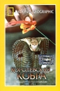 National Geographic Video Королевская кобра Формат: VHS Дистрибьютор: Пирамида Русский Лицензионные товары Характеристики видеоносителей 1997 г , 53 мин , США National Geographic Television and Film Научно - популярный фильм инфо 12168c.