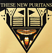These New Puritans Beat Pyramid Формат: Audio CD (Jewel Case) Дистрибьюторы: Концерн "Группа Союз", EMI Music Publishing Ltd Россия Лицензионные товары Характеристики аудионосителей 2009 г Альбом: Российское издание инфо 1017d.