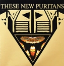These New Puritans Beat Pyramid Формат: Audio CD (Jewel Case) Дистрибьюторы: Концерн "Группа Союз", EMI Music Publishing Ltd Россия Лицензионные товары Характеристики аудионосителей 2009 г Альбом: Российское издание инфо 1017d.